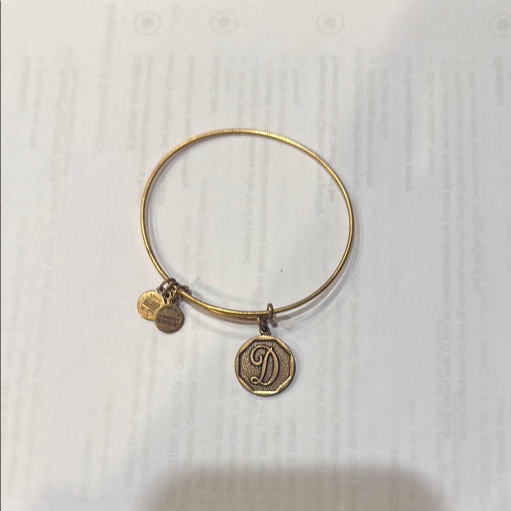 Alex and Ani Gold Expandable Charm Bracelet